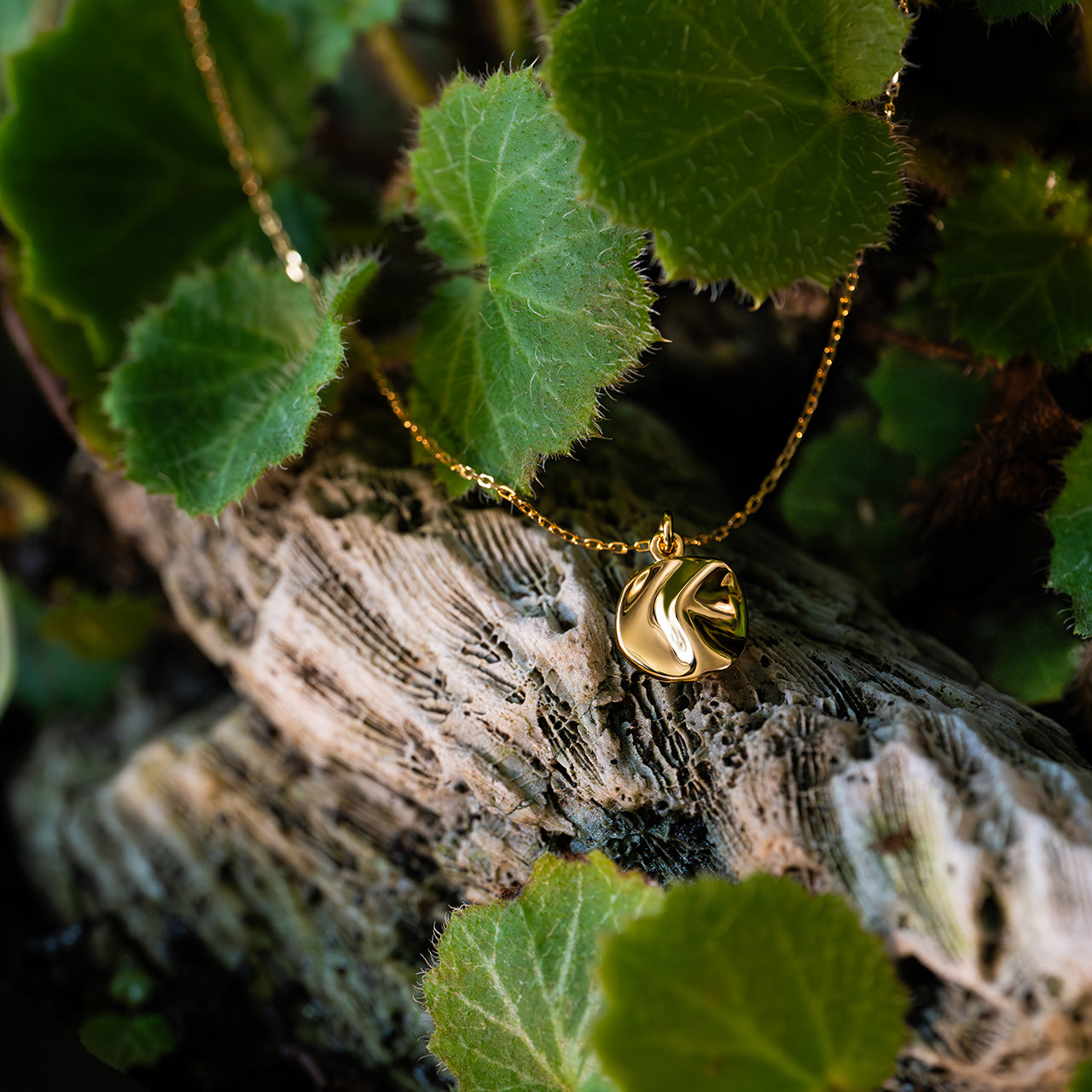 gold round pendant in nature