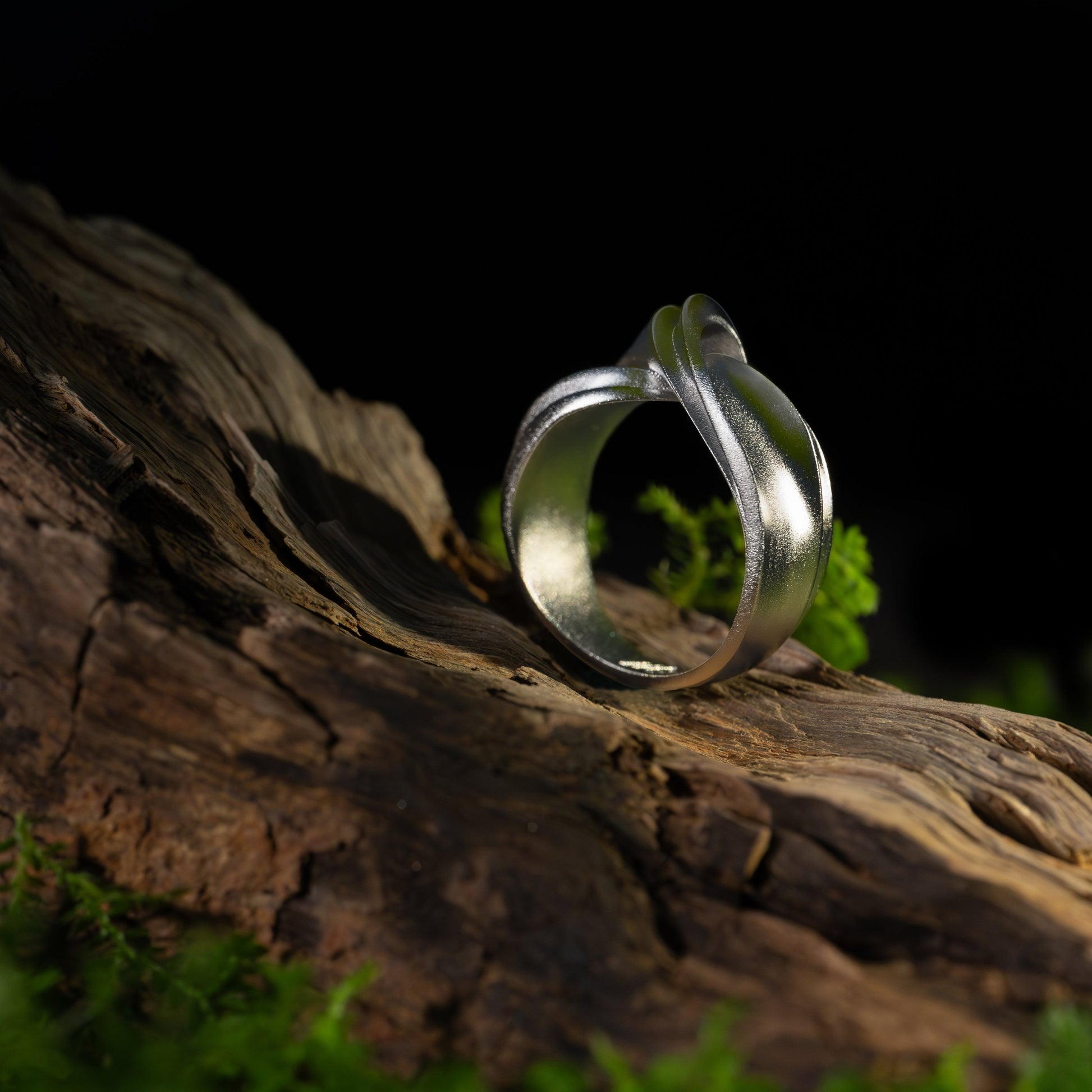 ENTWINE-silver-ring-in nature