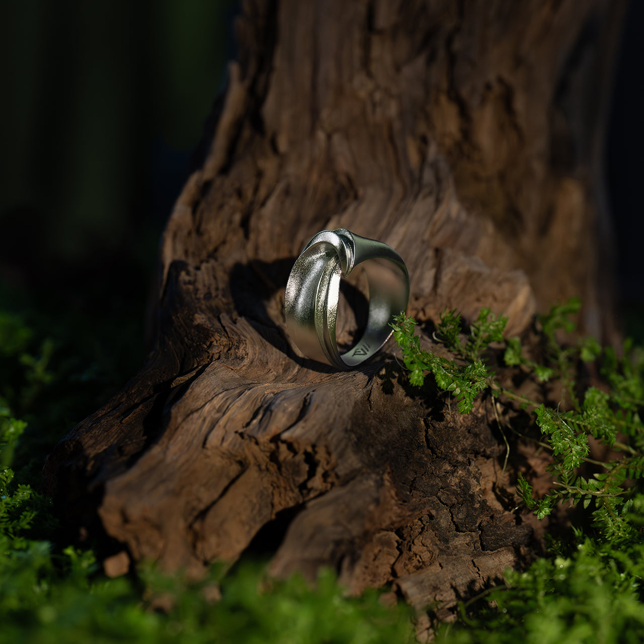 ENTWINE-silver-ring